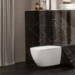 Villeroy and Boch ViConnect Glass Glossy Black Dual Flush Plate - 922160RB 7 Villeroy and Boch ViConnect Glass Glossy Black Dual Flush Plate - 922160RB -TOILET ACCESSORIES Sales 922160RB D2 460