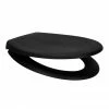 Arezzo Matt Black Soft Close Toilet Seat 1 Arezzo Matt Black Soft Close Toilet Seat -TOILET ACCESSORIES Sales AZ BLK TS p