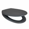 Arezzo Matt Grey Soft Close Toilet Seat -TOILET ACCESSORIES Sales AZ GRY TS p