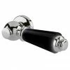 Bayswater Black Ceramic WC Lever Handle -TOILET ACCESSORIES Sales BAYA005 P