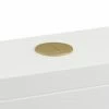 Britton Bathrooms Cistern Flush Button - Brushed Brass -TOILET ACCESSORIES Sales BRBBB1 P 1