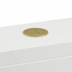 Britton Bathrooms Cistern Flush Button - Brushed Brass