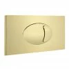 Cruze Large Push Button Plate Brushed Brass -TOILET ACCESSORIES Sales CBBPB01 prod
