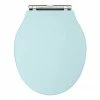 Old London Ryther Duck Egg Blue Wooden Soft Close Toilet Seat -TOILET ACCESSORIES Sales Downton Abbey Ryther Duck Egg Blue Wooden Soft Close Toilet Seat p