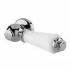 Hudson Reed White Ceramic Cistern Lever - E370 -TOILET ACCESSORIES Sales E370 P