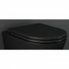 RAK Feeling Soft Close Seat in Matt Black -TOILET ACCESSORIES Sales FEESEAT504 n p