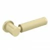 Arezzo Industrial Style Brushed Brass Knurled Grip Cistern Lever -TOILET ACCESSORIES Sales ISBBCL p