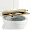 Burlington Soft Close Golden Oak Toilet Seat with Lift Handles -TOILET ACCESSORIES Sales S16 A51CHR P