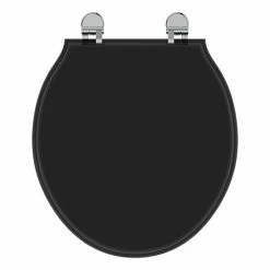 Ideal Standard Waverley Black Standard Toilet Seat & Cover