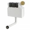 Venice Concealed WC Cistern with Brushed Brass Push Button Flush