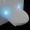 Wenko LED Night Light Soft-Close Toilet Seat - 21902100 -TOILET ACCESSORIES Sales Wenko LED Night Light Soft Close Toilet Seat p