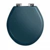 Imperial Oval Soft Close Toilet Seat with Chrome Hinges - Moseley Blue -TOILET ACCESSORIES Sales XX50008114NSB P