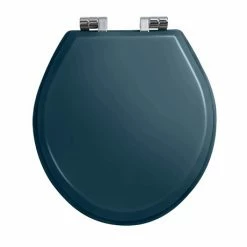 Imperial Oval Soft Close Toilet Seat with Chrome Hinges - Moseley Blue